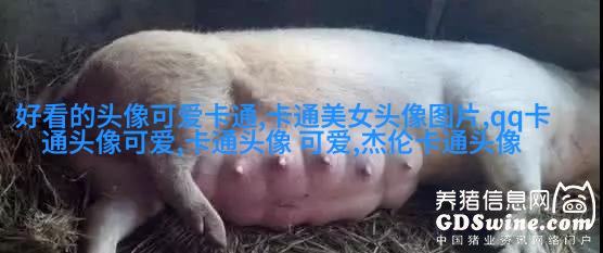 二次元动漫情侣头像_微博情侣头像