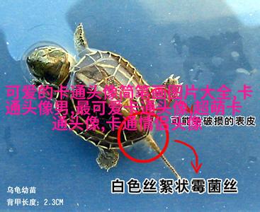 帅气男生头像