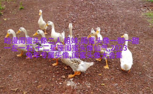 qq头像姐妹一左一右带字