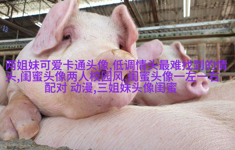 一人一张的三姐妹qq个性头像