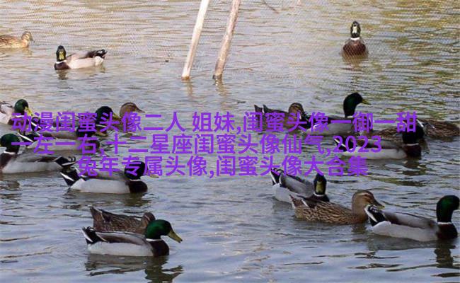 qq头像姐妹一左一右带字