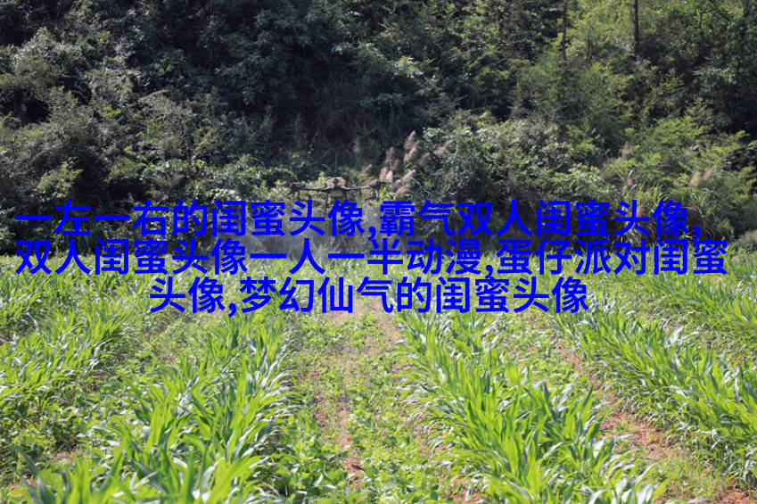 姐妹情意境头像