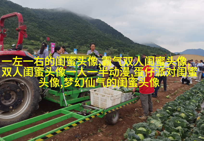 姐妹情意境头像