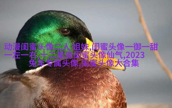 qq头像姐妹一左一右带字