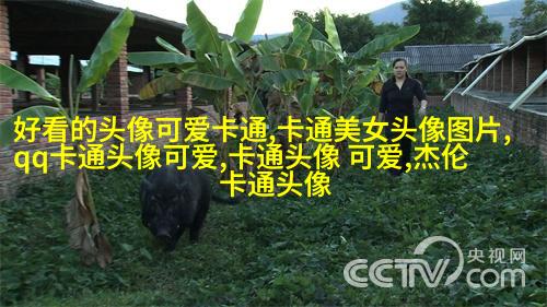 二次元动漫情侣头像_微博情侣头像