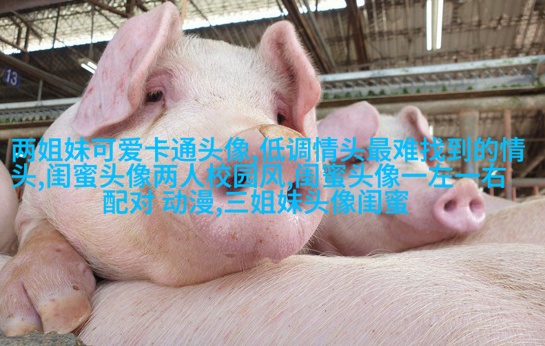 一人一张的三姐妹qq个性头像