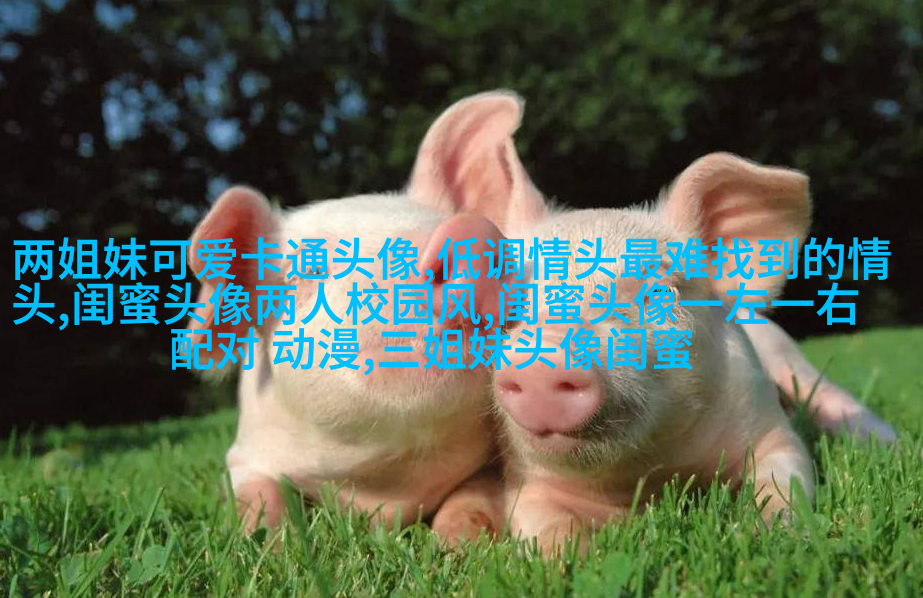 一人一张的三姐妹qq个性头像