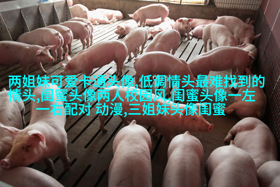 一人一张的三姐妹qq个性头像