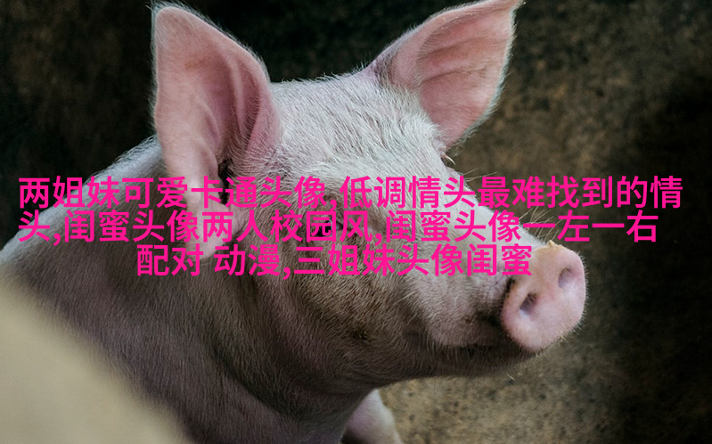 一人一张的三姐妹qq个性头像