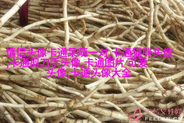 周杰伦qq头像