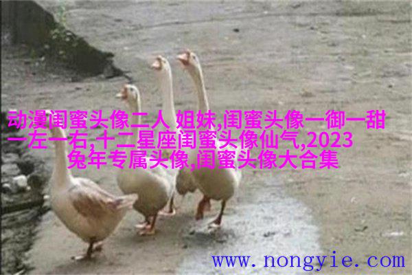 qq头像姐妹一左一右带字