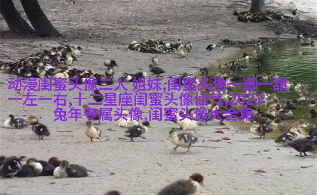 qq头像姐妹一左一右带字