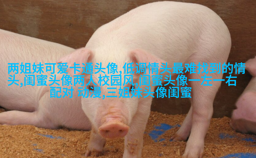 一人一张的三姐妹qq个性头像