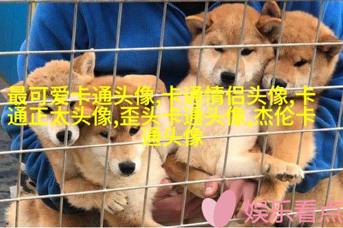 又萌又可爱的头像(16张)