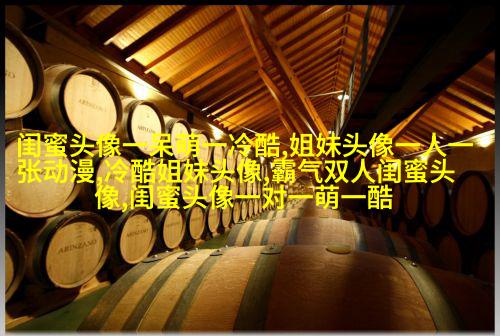 好看两姐妹qq头像一人一张