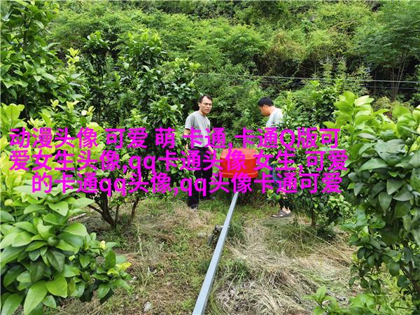 素描的伤感男生头像