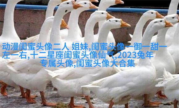 qq头像姐妹一左一右带字