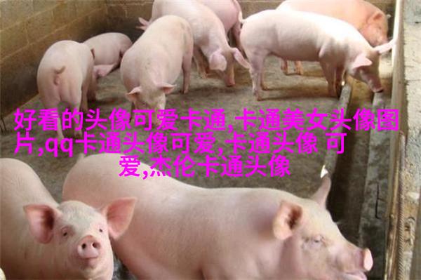 二次元动漫情侣头像_微博情侣头像