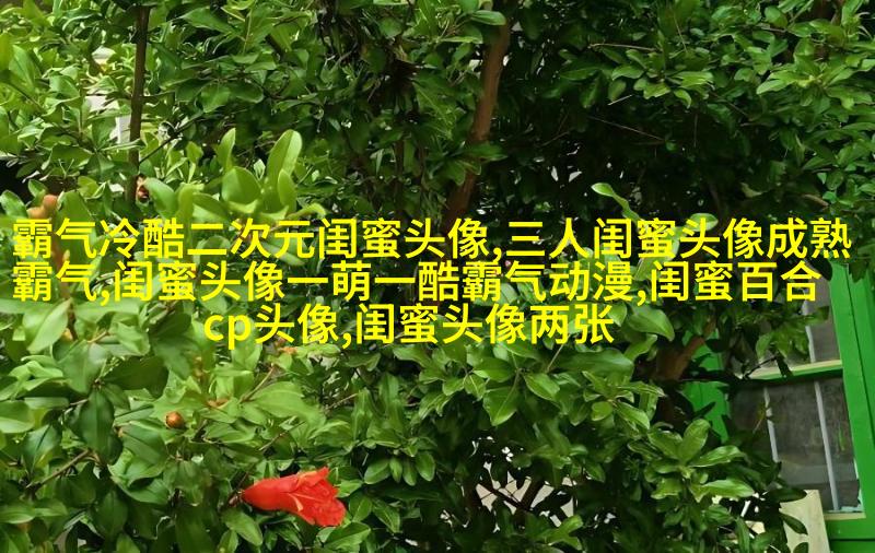 姐妹专属空间头像一对两张