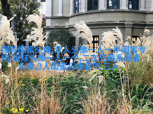 00后非主流姐妹头像一对_姐妹头像一对两张非主流