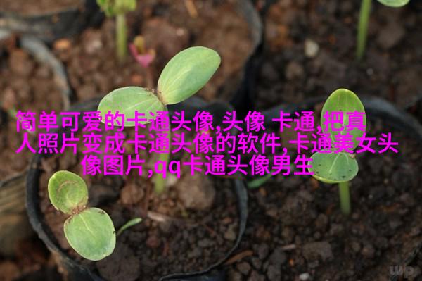 可爱女生带文字头像(精选16张)