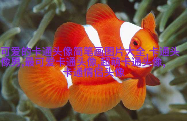 帅气男生头像