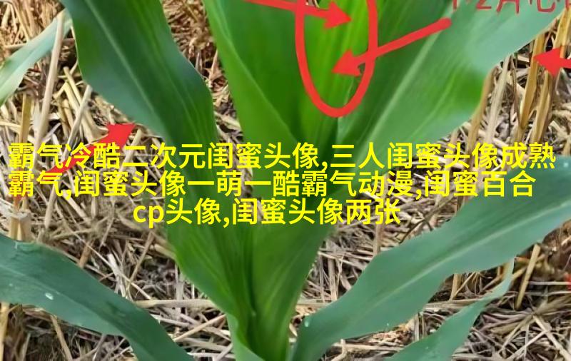 姐妹专属空间头像一对两张