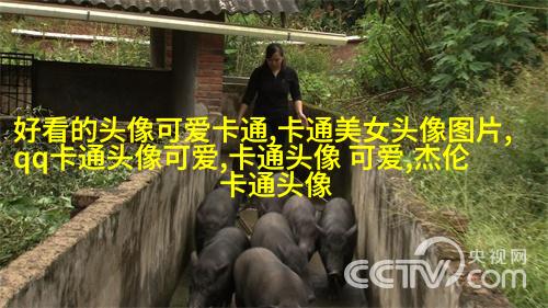 二次元动漫情侣头像_微博情侣头像