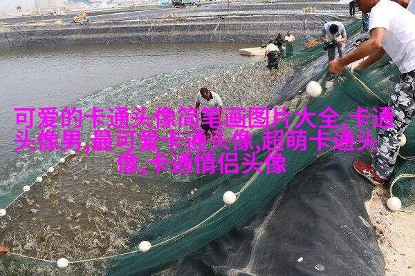 帅气男生头像