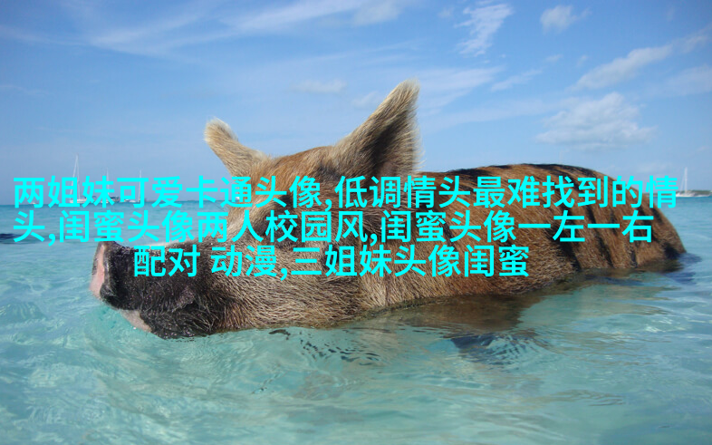 一人一张的三姐妹qq个性头像