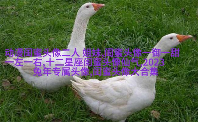 qq头像姐妹一左一右带字