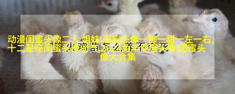 qq头像姐妹一左一右带字