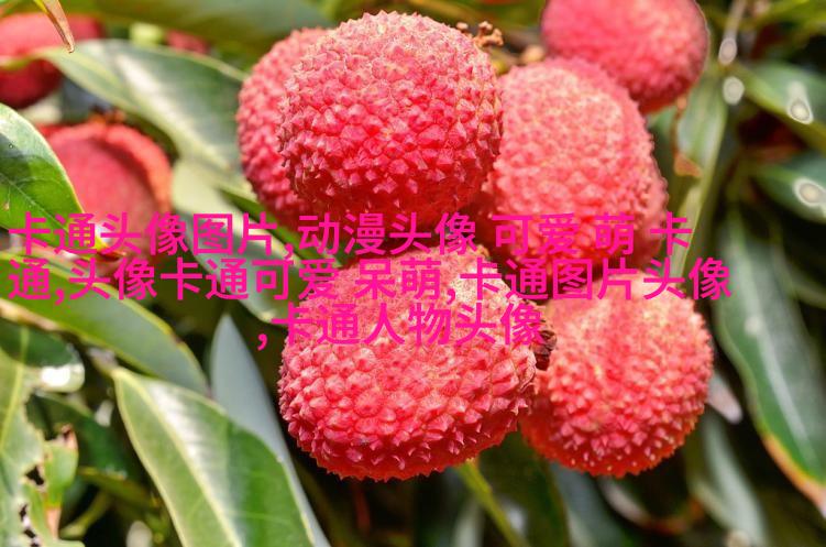 小红书可爱头像萌萌哒(11张)