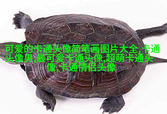 帅气男生头像