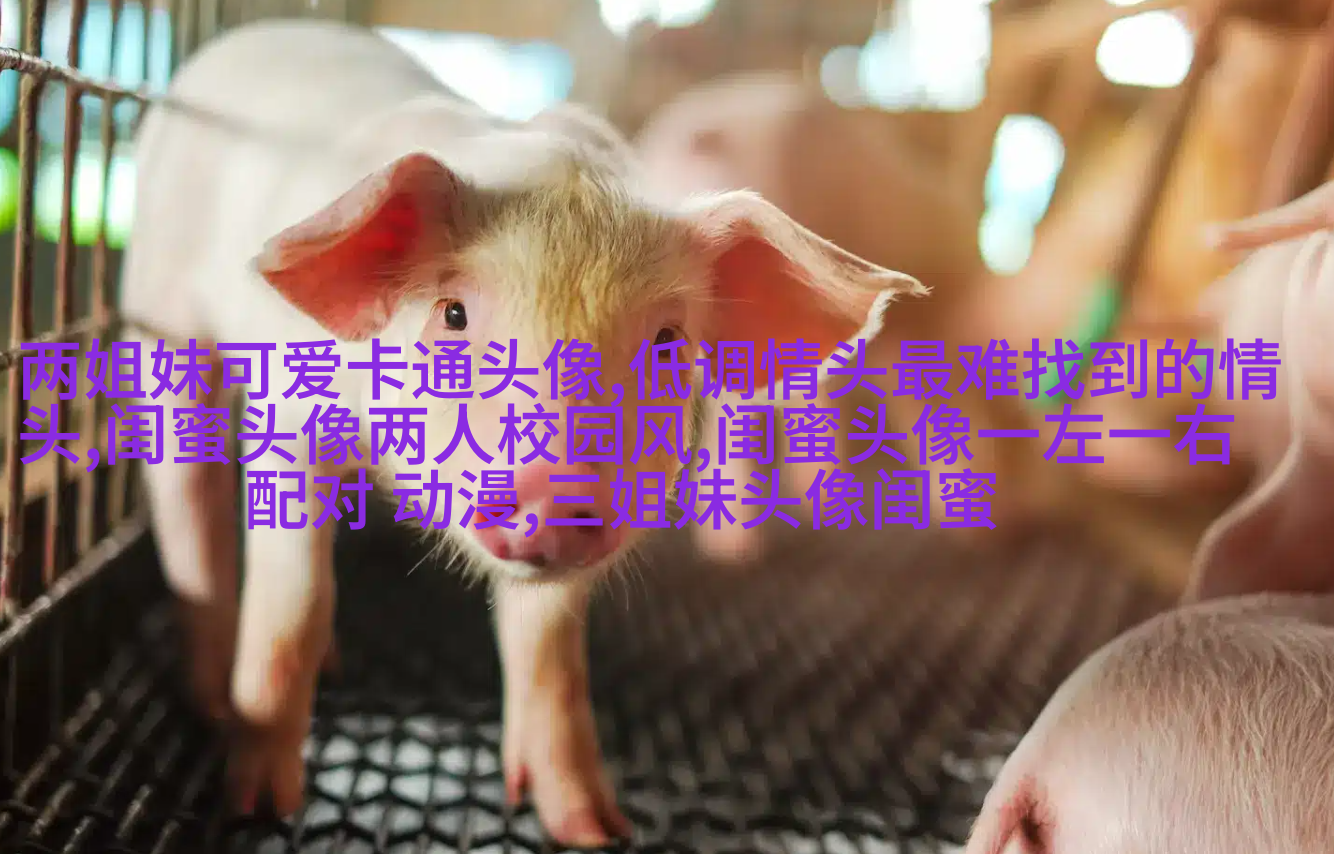 一人一张的三姐妹qq个性头像