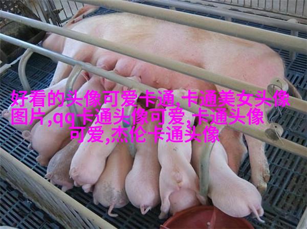 二次元动漫情侣头像_微博情侣头像