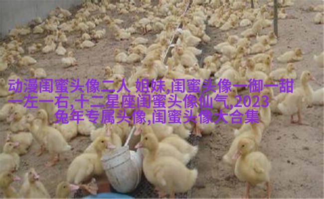 qq头像姐妹一左一右带字
