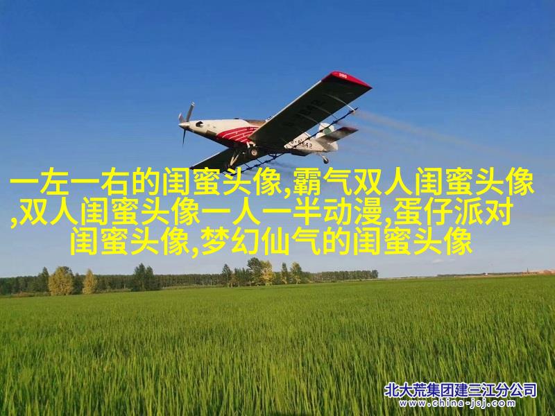 姐妹情意境头像