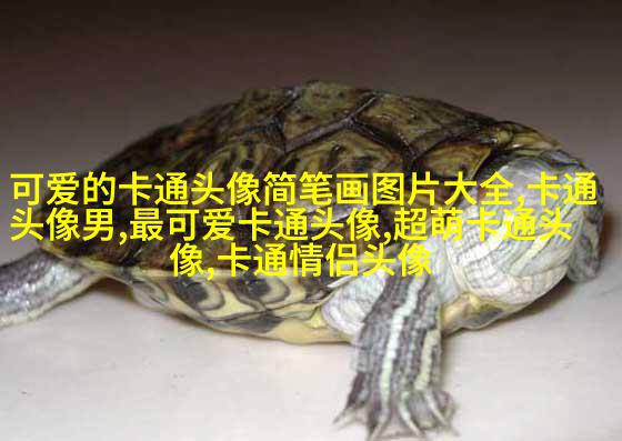 帅气男生头像