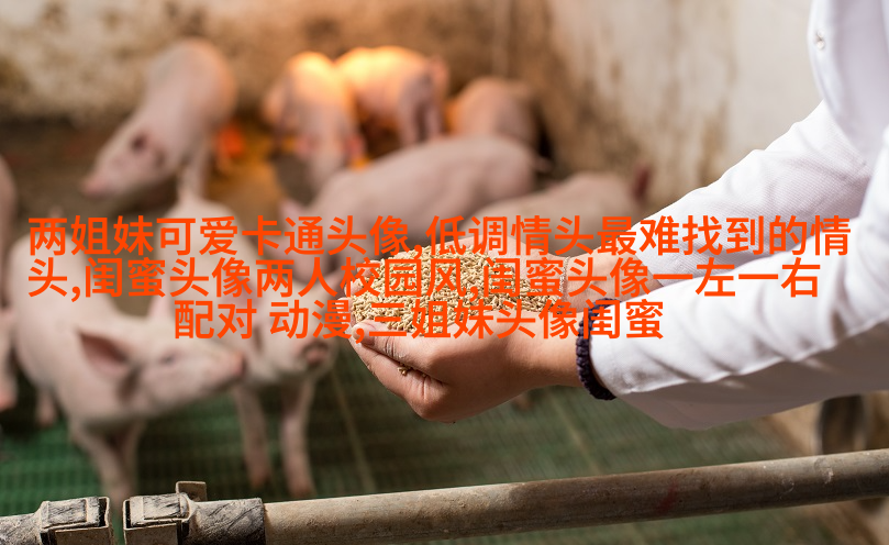 一人一张的三姐妹qq个性头像