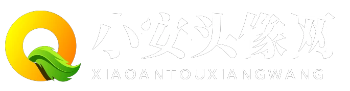 小安头像网